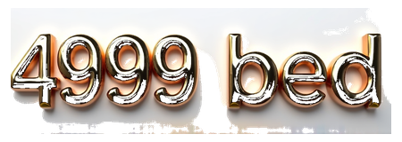 4999 bed logo